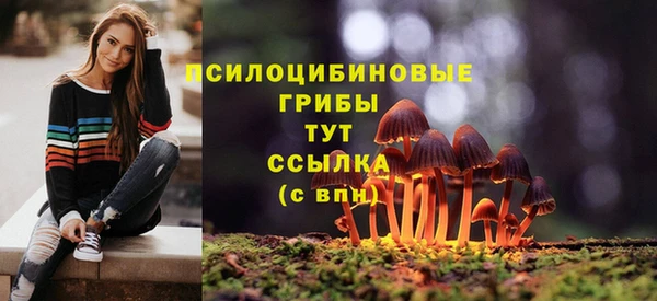 кокс Надым