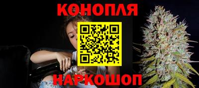 прущие грибы Пенза