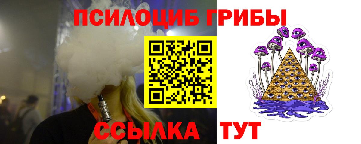 Сосновоборск  Галлюциногенные грибы Psilocybine cubensis  Вход с VPN 
