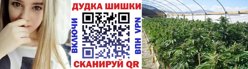 МАРИХУАНА сатива  Сосновоборск 