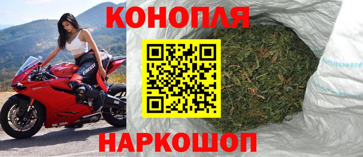 Бошки Шишки гибрид  Вход с VPN  МАРИХУАНА ГИДРОПОН  Сосновоборск  Каннабис индика 